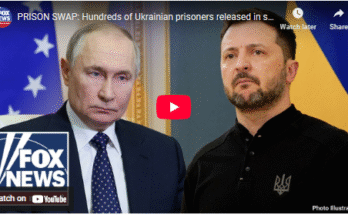 Hundreds of Ukrainian prisoners released in swap with Russia