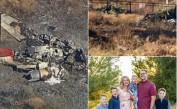 PPEAKING NEWS " All passengers passed away in plane cras…