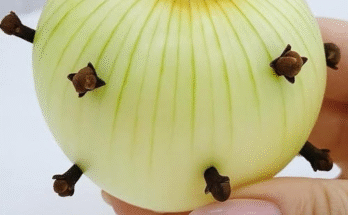 The Secret Ingredient: Why My Grandmother Always Stuck Cloves Into an Onion