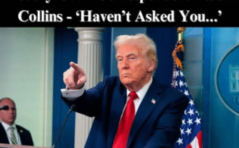 Trump Shuts Down CNN’s Kaitlin Collins During White House Press Conference